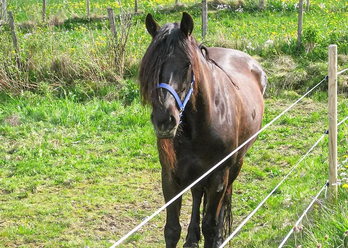 In Lundegrend With Wifi * Grimsland