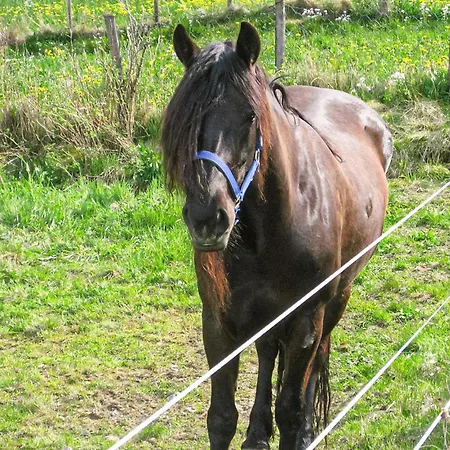 In Lundegrend With Wifi * Grimsland